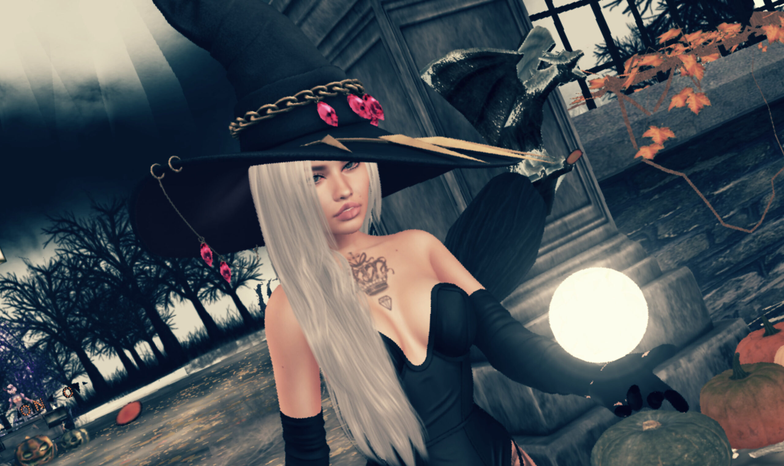 53281458640_e07a1a1cd5_o