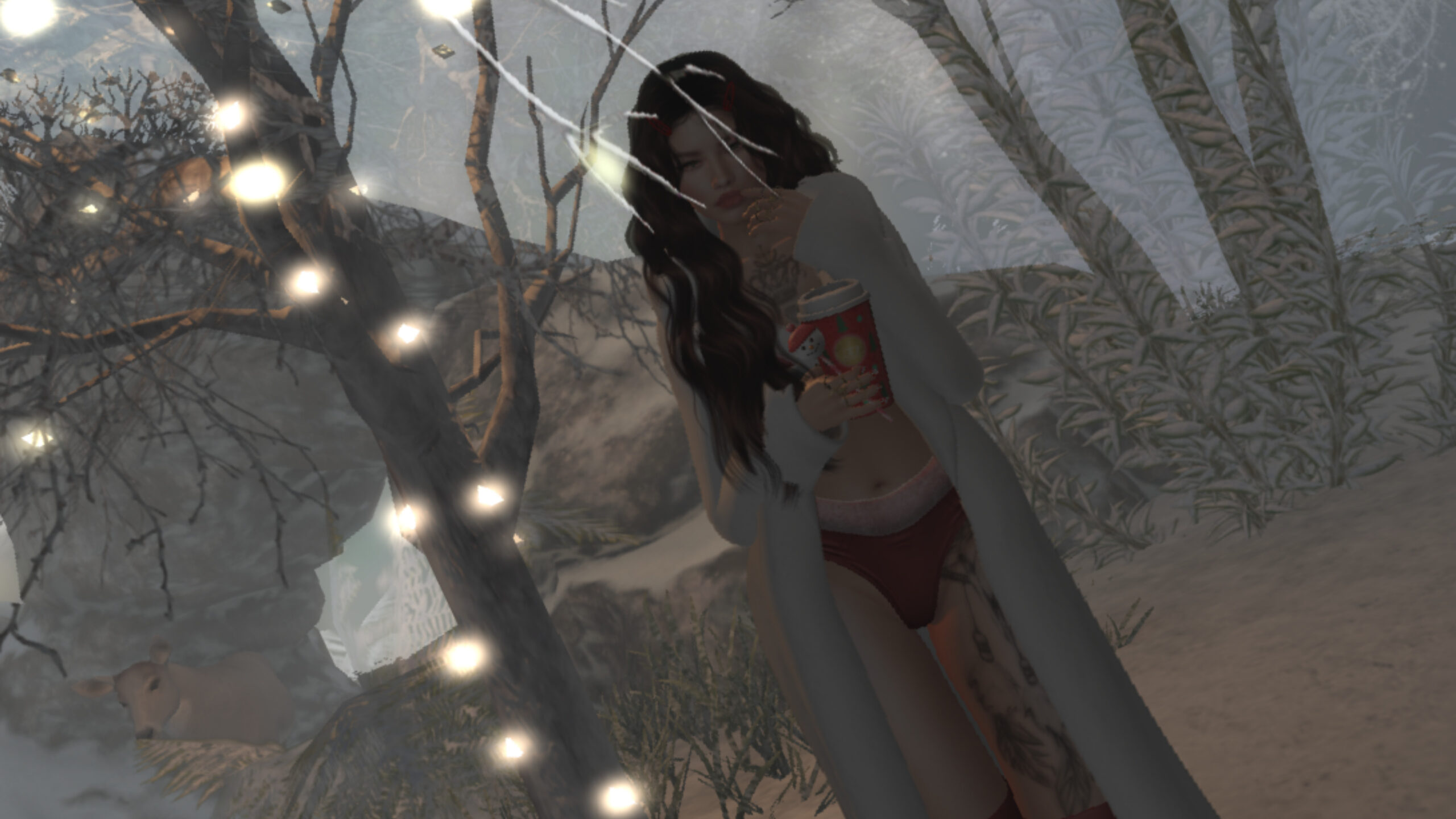 53405916276_0680cb425a_o