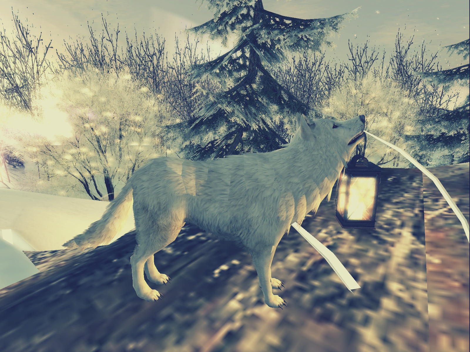 481671955_9247425792005598_2733645647897481157_n