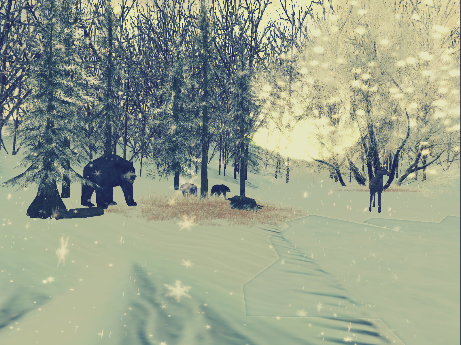 481683132_9247425808672263_8578078828219001350_n