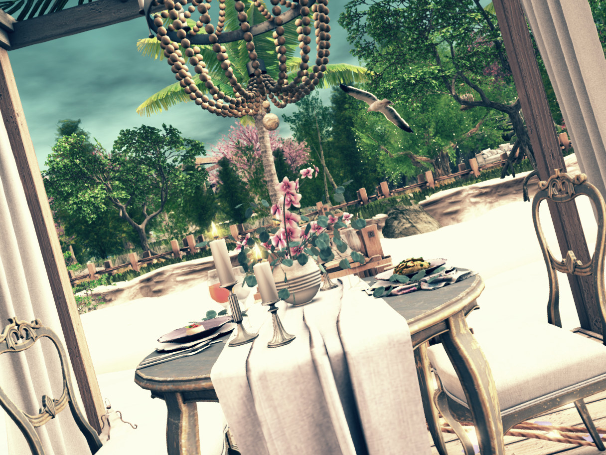 52843783839_42d49e9940_o-scaled1